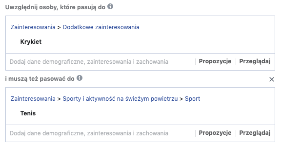 Menadżer reklam FB zainteresowania