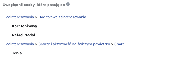 Ustawienie zainteresowań w menadżerze reklam FB